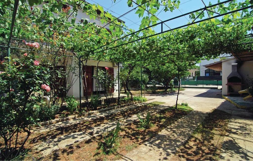 Apartmani Katarina Srima Exterior foto